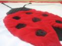 Lady Bug Blanket